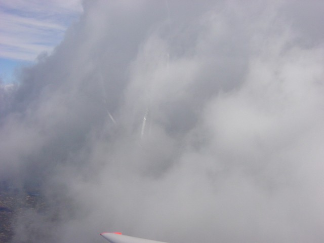 B�ger foran cumulusen