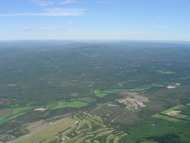 Bl�termikken blomstrer