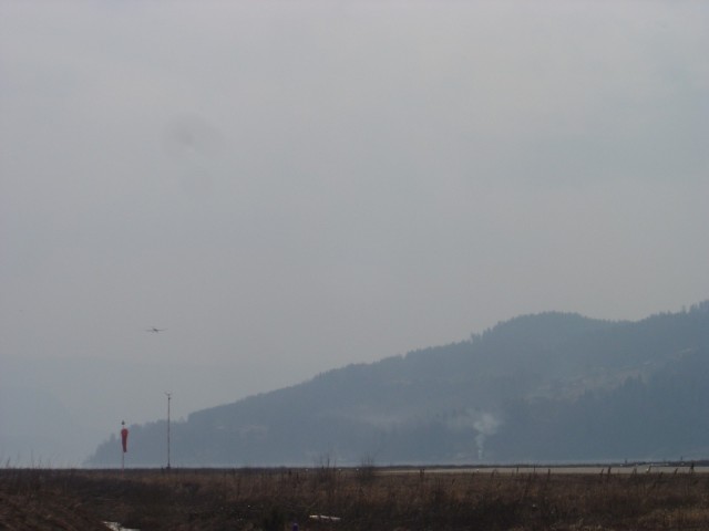 Veldig disig dag, DFL p� finale