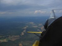 Unge �rner p� Starmoen 2006 (13 MB, wmv)